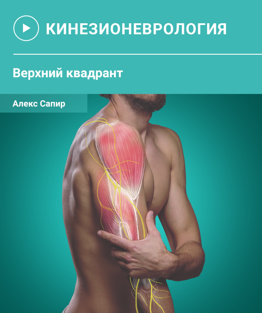 Верхній квадрант