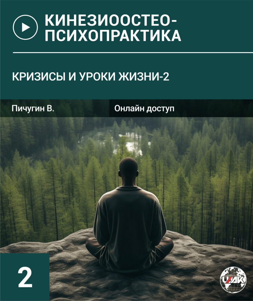 КИНЕЗИООСТЕОПРАКТИКА. Кризисы-2