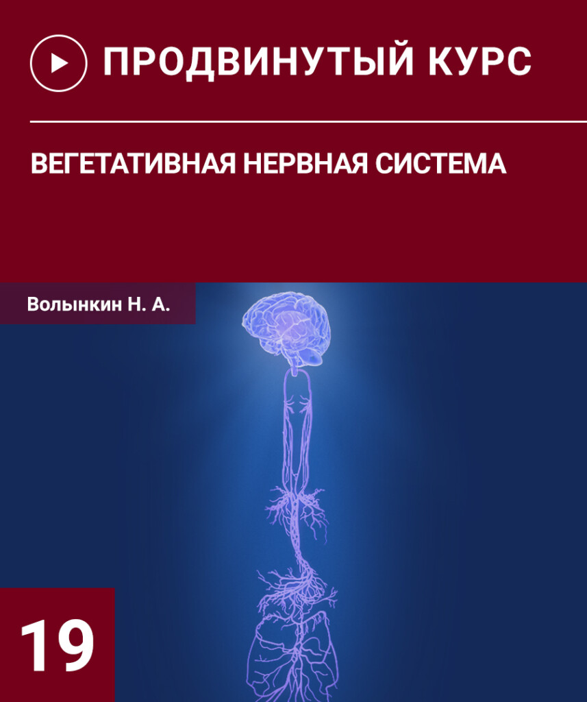 Семінар №19
